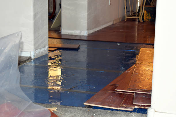 Professional Water Damage Restoration technician working in Radnor, OH